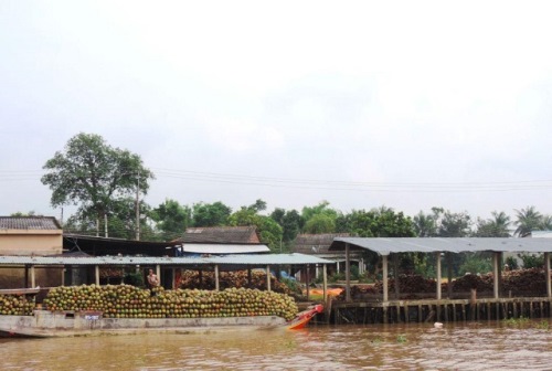 Về Bến Tre khám phá làng nghề làm chỉ xơ dừa bên dòng sông Thom